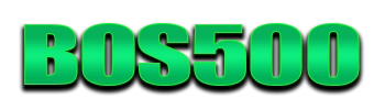 Logo BOS500
